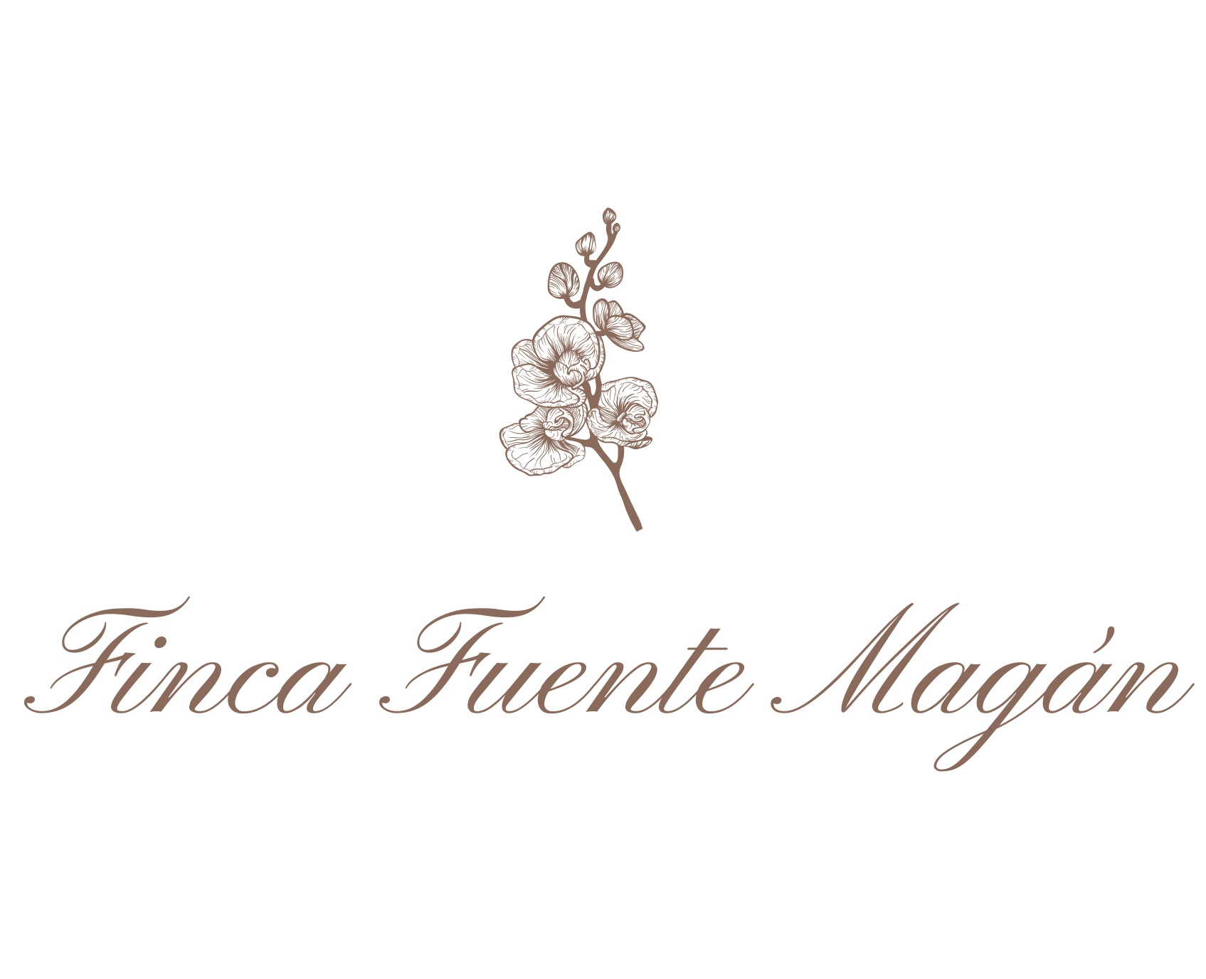 Finca Fuente Magán
